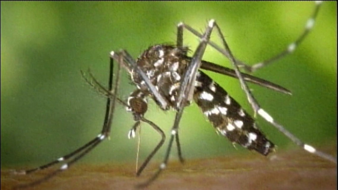 Power To Save: Keeping mosquitoes from bugging you