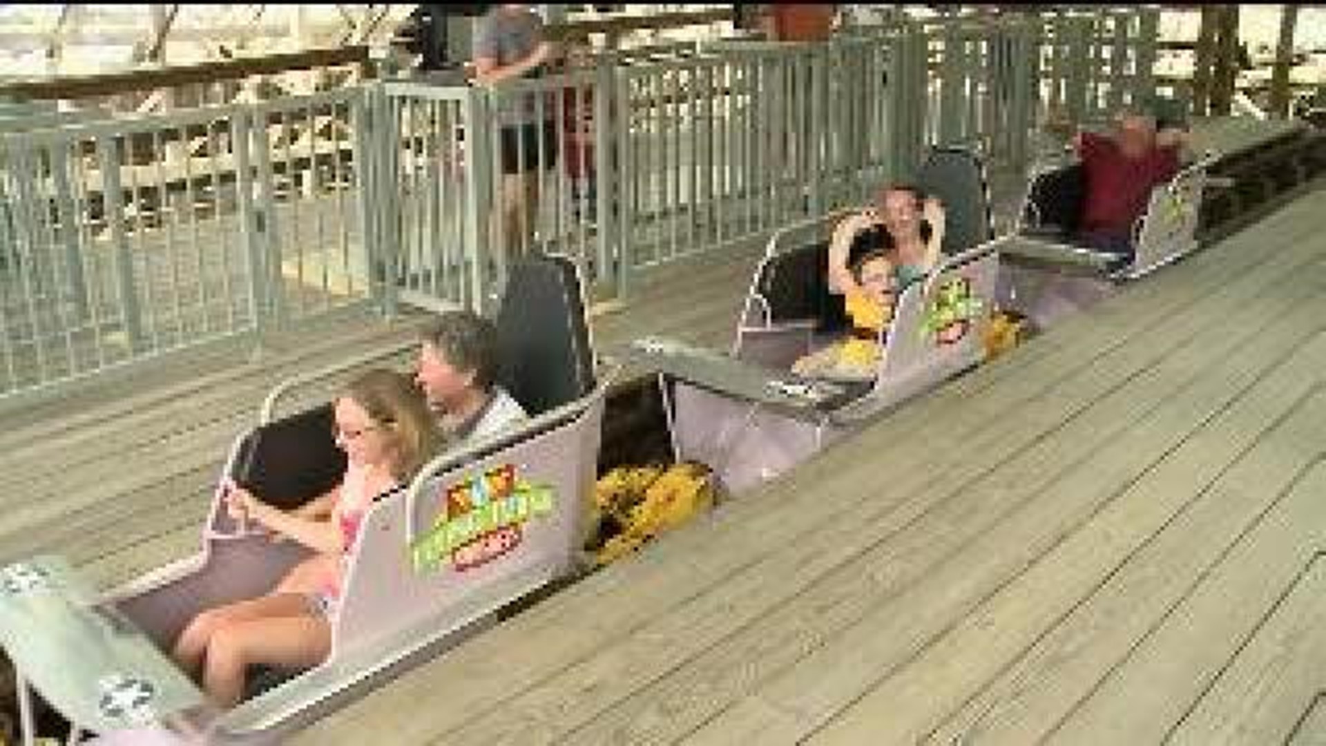 Staying Safe on Amusement Park Rides