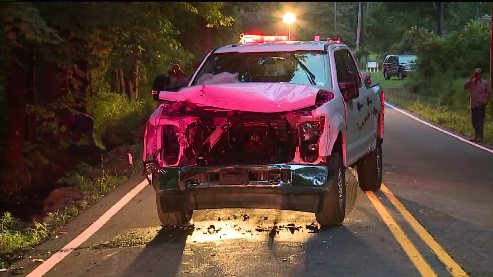 Loose Cattle Killed in Luzerne County Crash