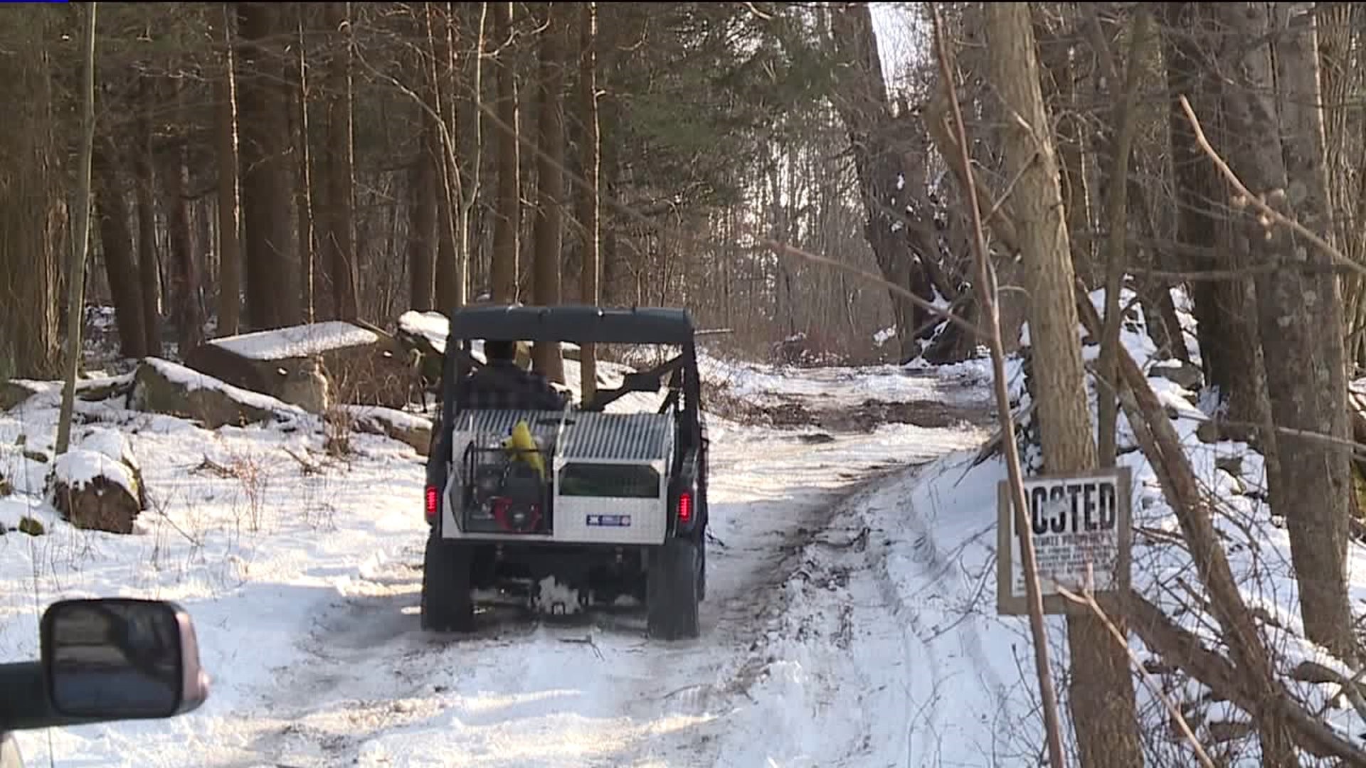 84-Year-Old Man Dies In Tree-Stand