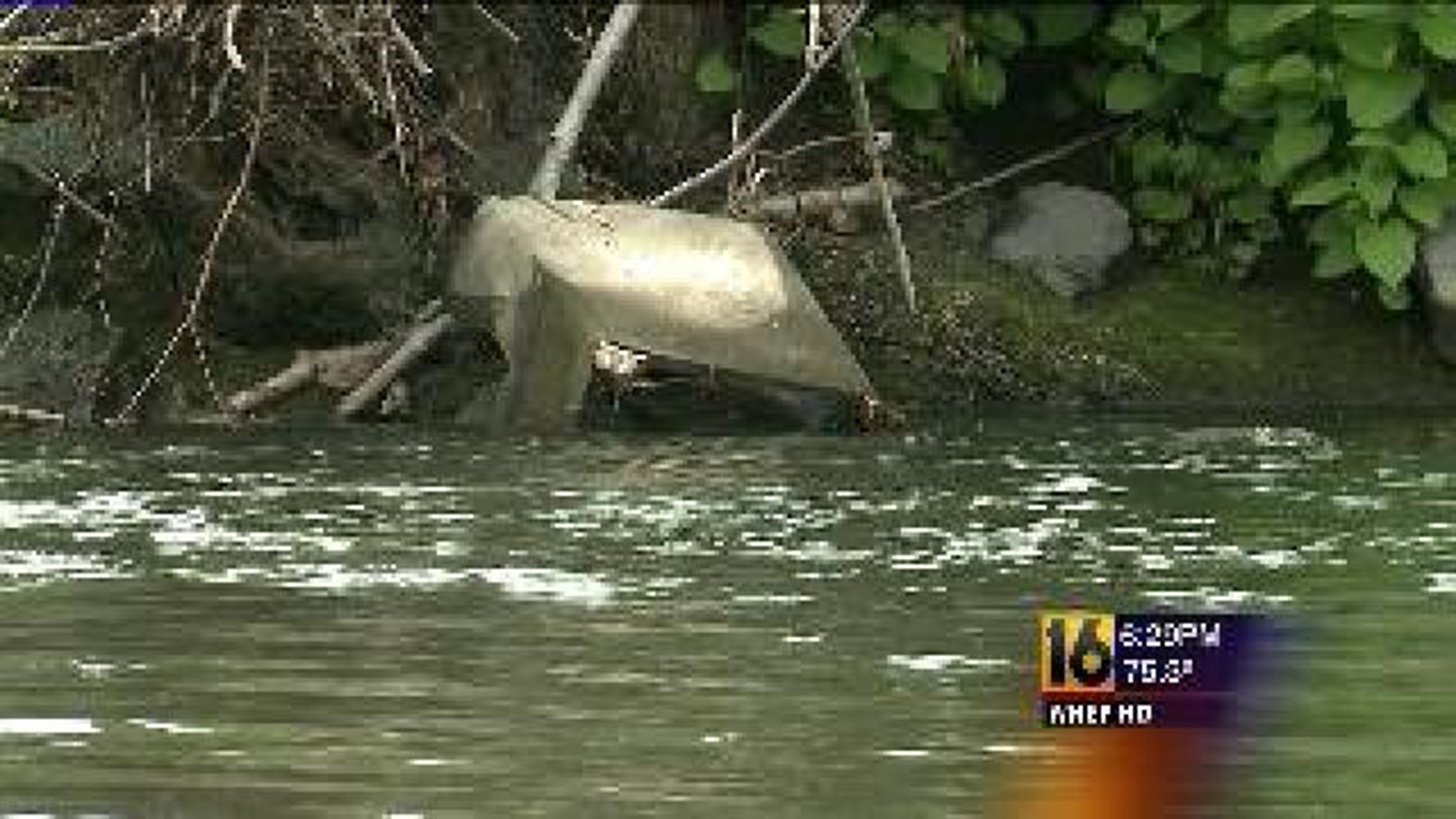 Volunteers Needed for River Cleanup