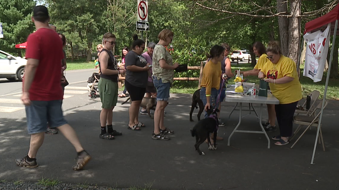 'Paws in the Park' raises funds for shelter