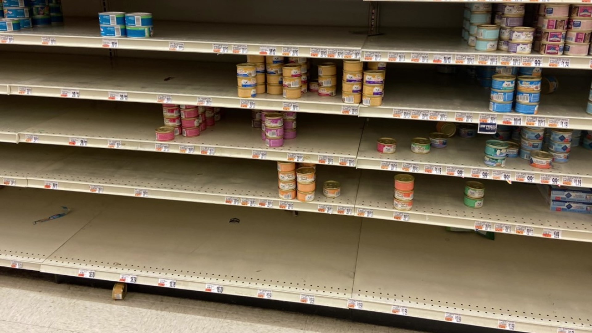 Latest shortage on store shelves? Pet food