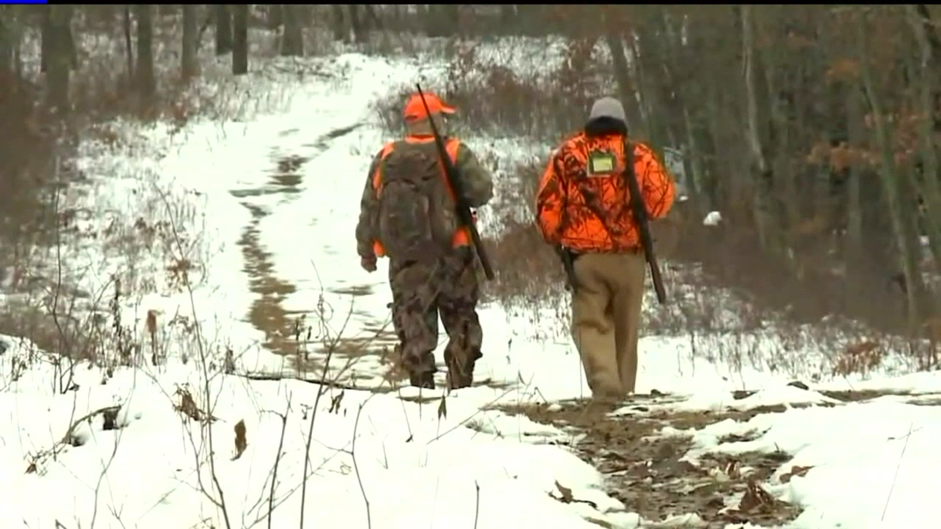 Changes could be coming to deer hunting in Pennsylvania this year, which would mean hunters could bag more doe and other antlerless deer than ever before.