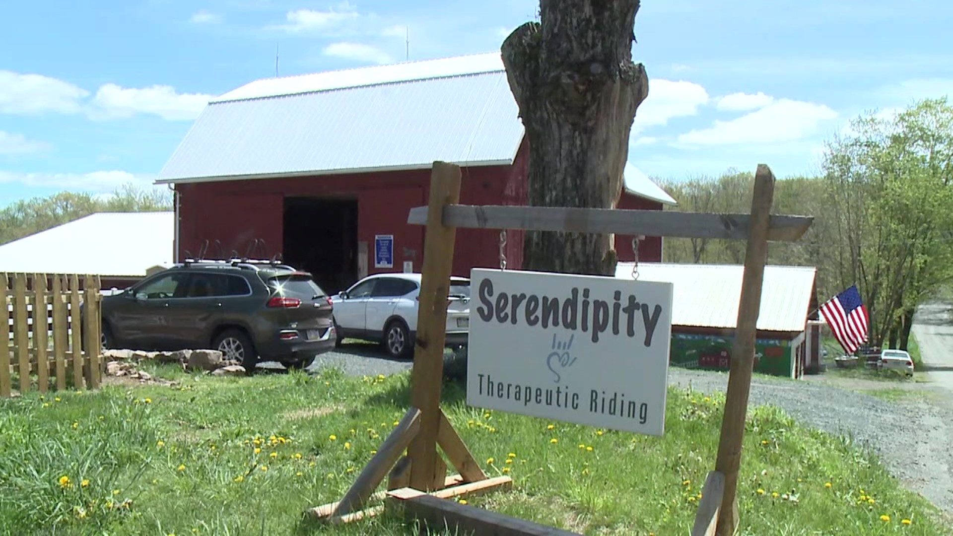 Serendipity Therapeutic Riding Center in Sweet Valley is hoping an open house later this month means new faces on the farm for the summer.