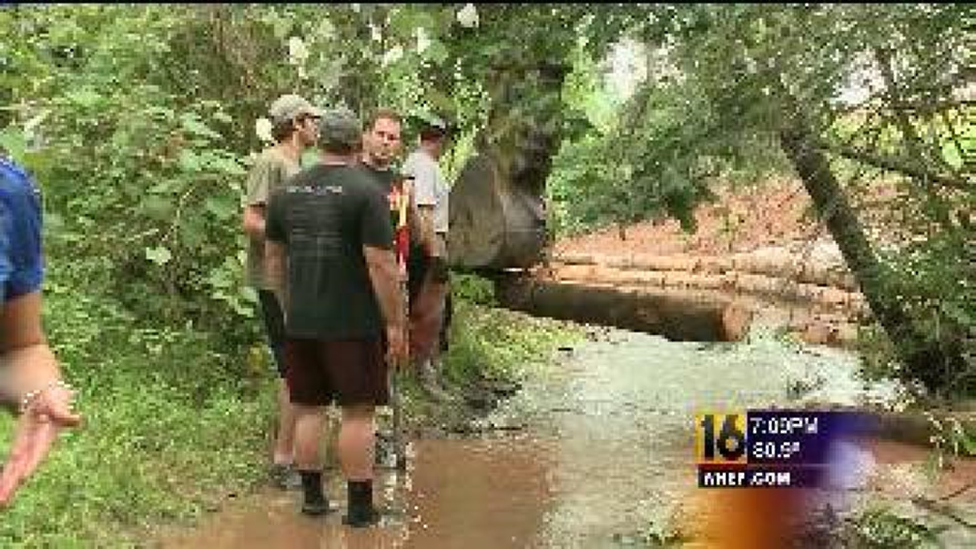 Volunteers Help Stabilize Creek