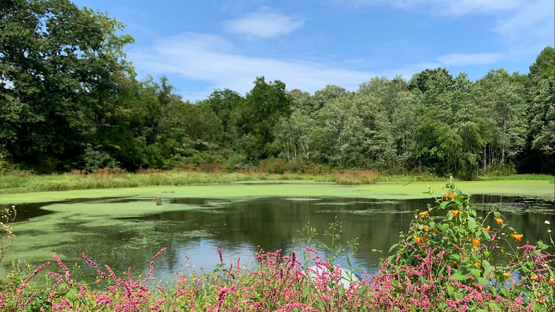 September is Pennsylvania Trails Month and some folks in Luzerne County enjoyed the holiday weekend outdoors.