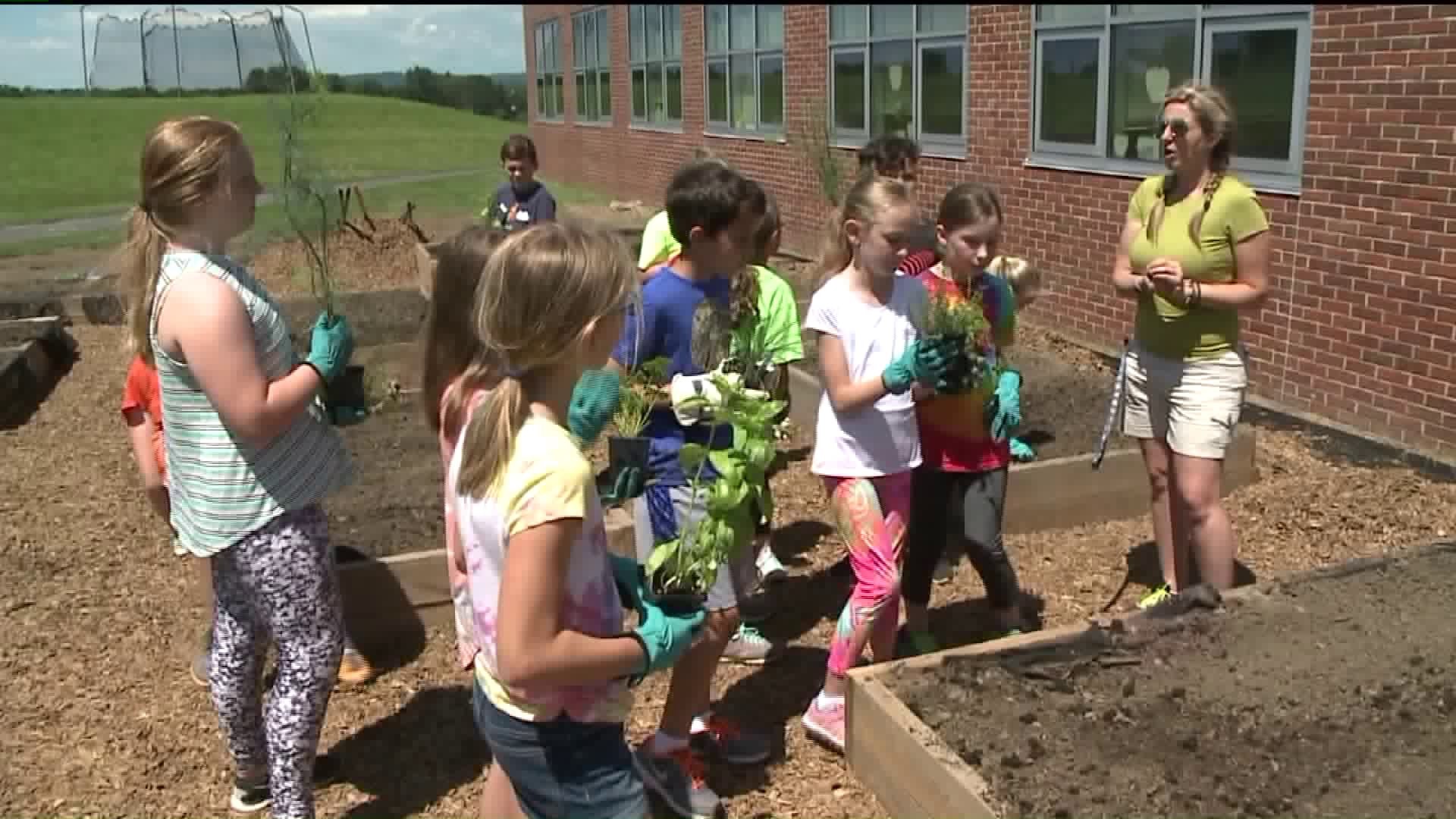 Students Work, Learn in School Garden