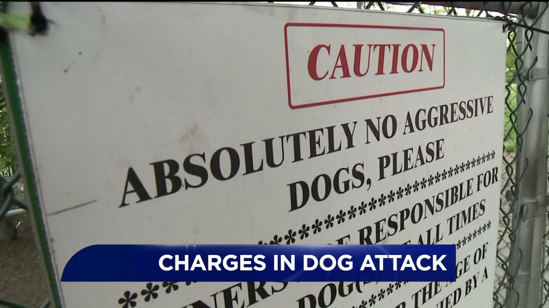 Charges Filed in Wilkes-Barre Dog Attack