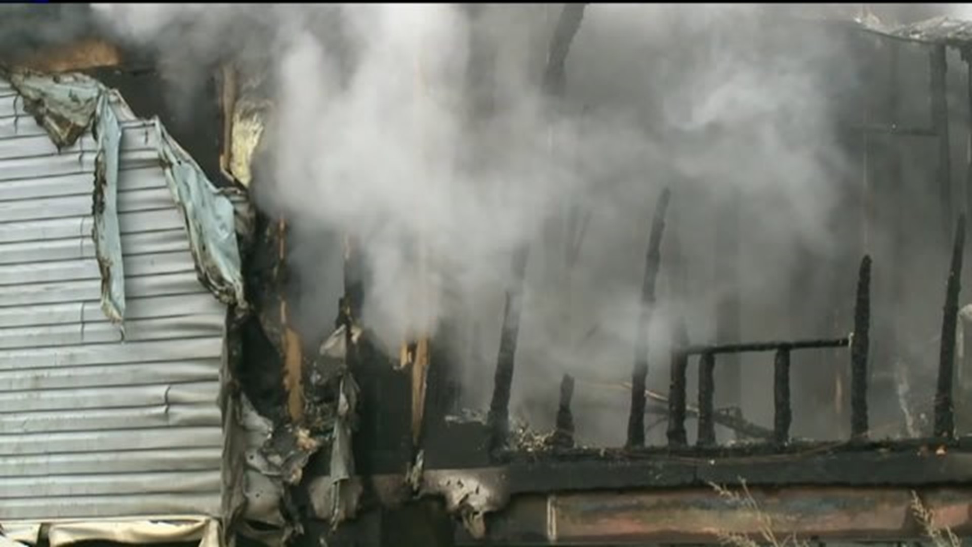 Dogs Killed, Home Destroyed in Fire