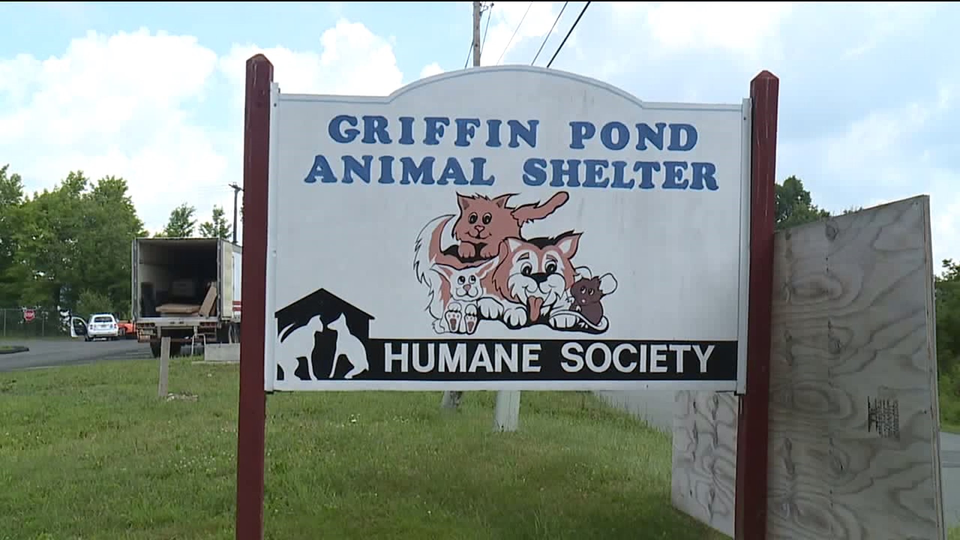 Griffin Pond Cats Back and Ready for Adoption