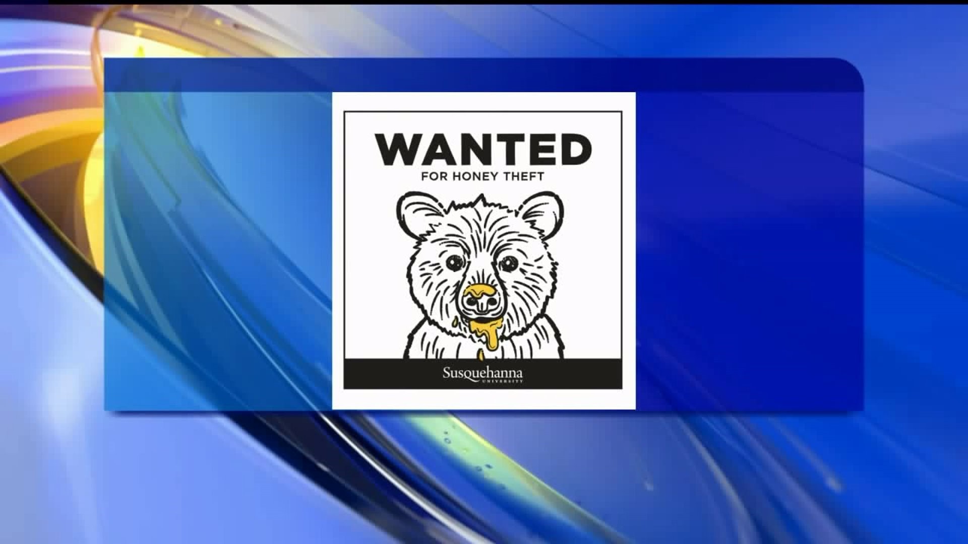 Wanted: Bear Suspected in Honey Theft from Susquehanna University