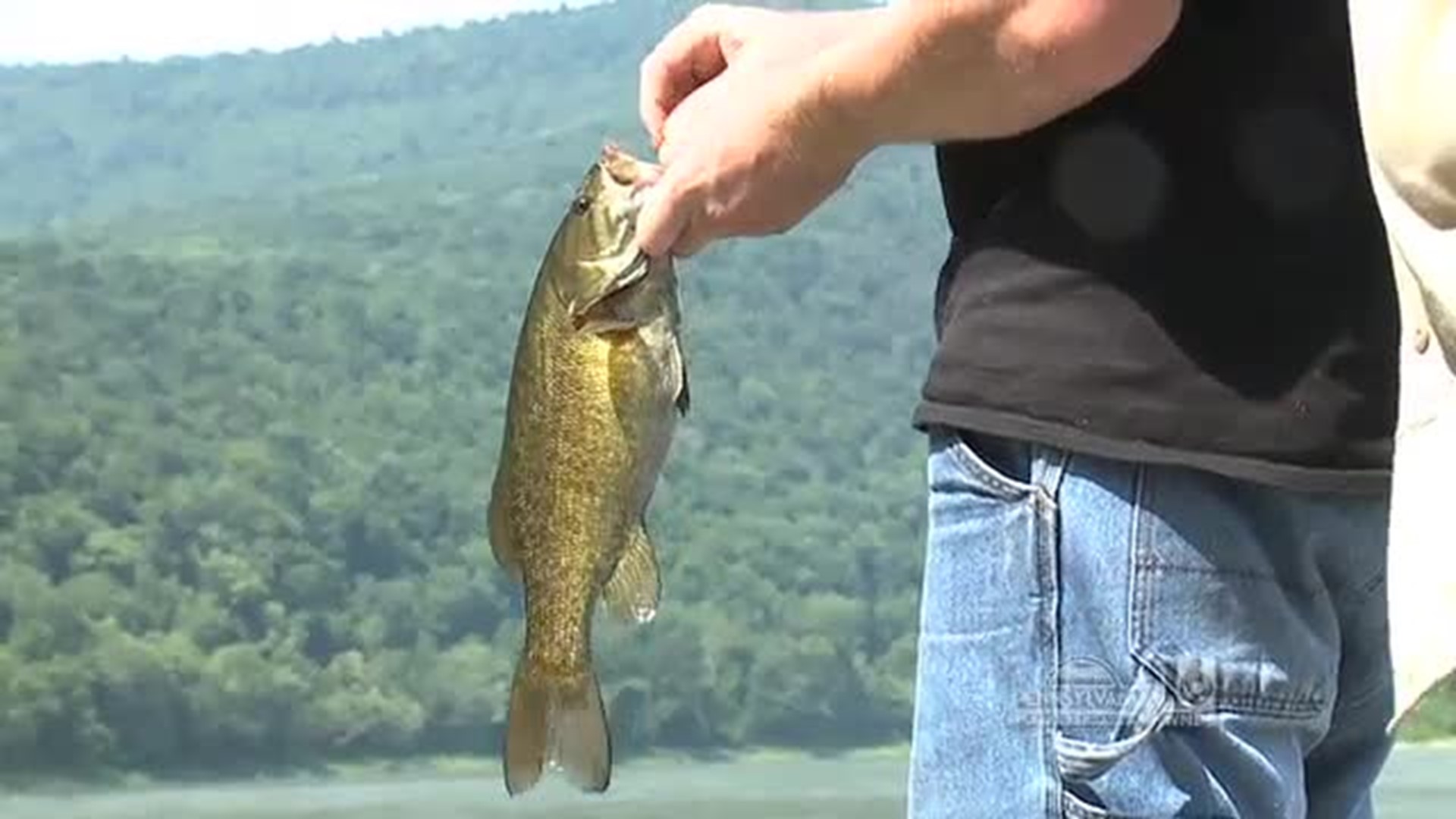 Even More Bass Fishing with Boyd's NEPA Guiding Service