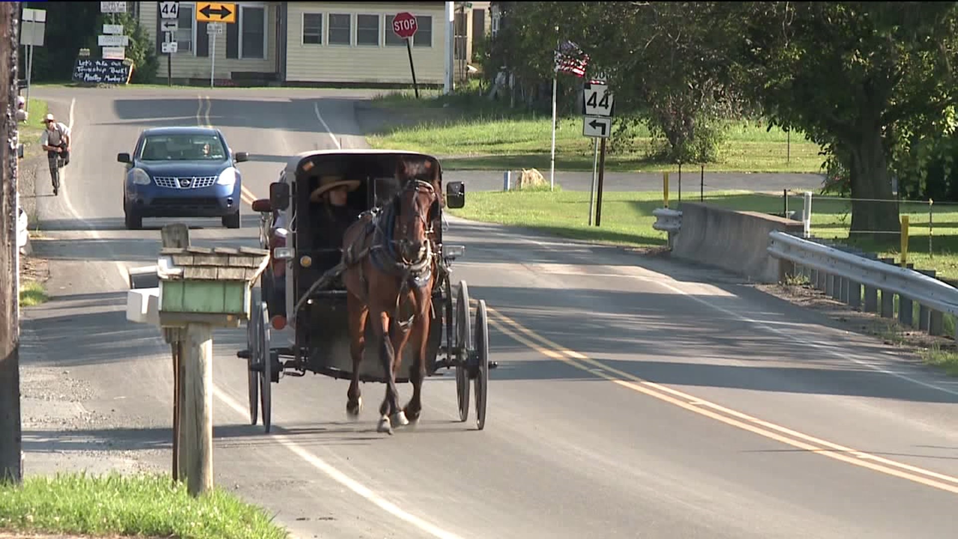 New Rules Could Be Coming to Horse and Buggy Users
