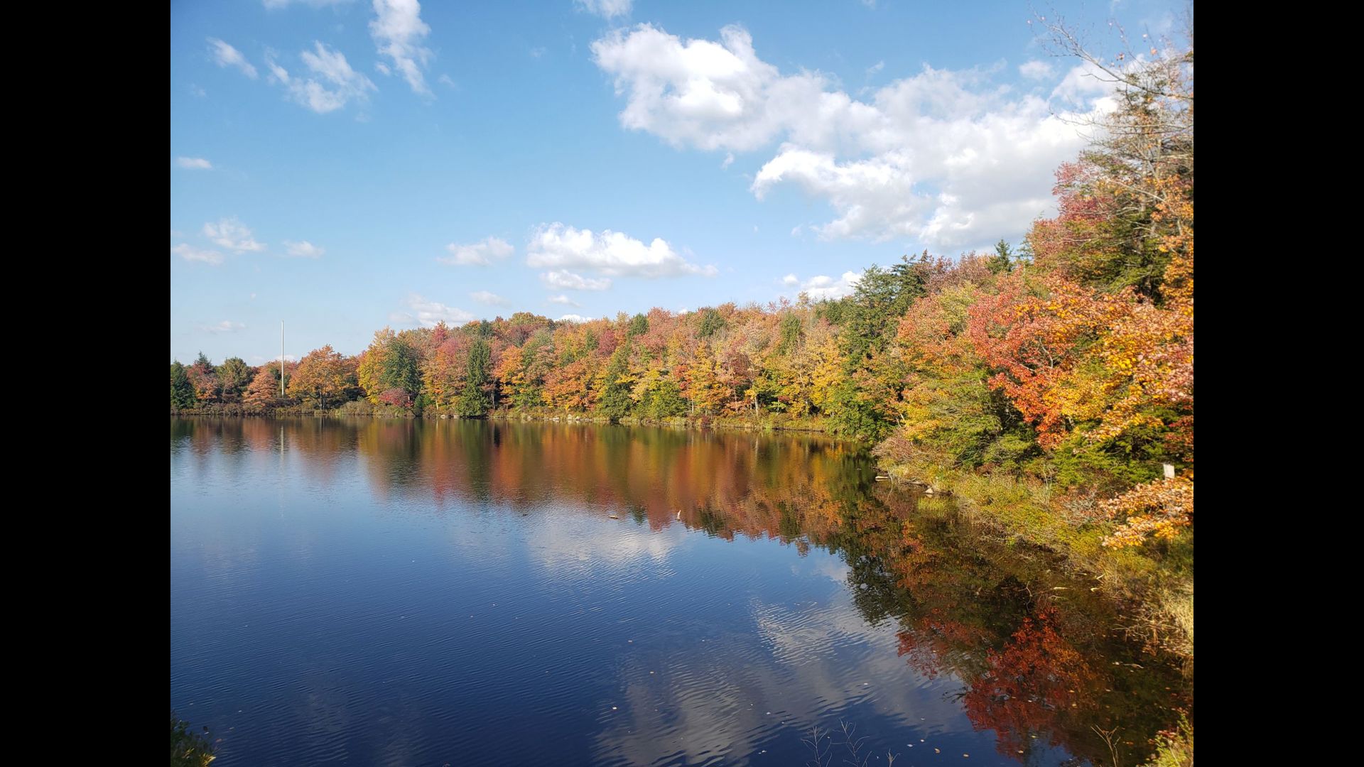 Fall Foliage Map | When And Where To See The Best Fall Colors | Wnep.com