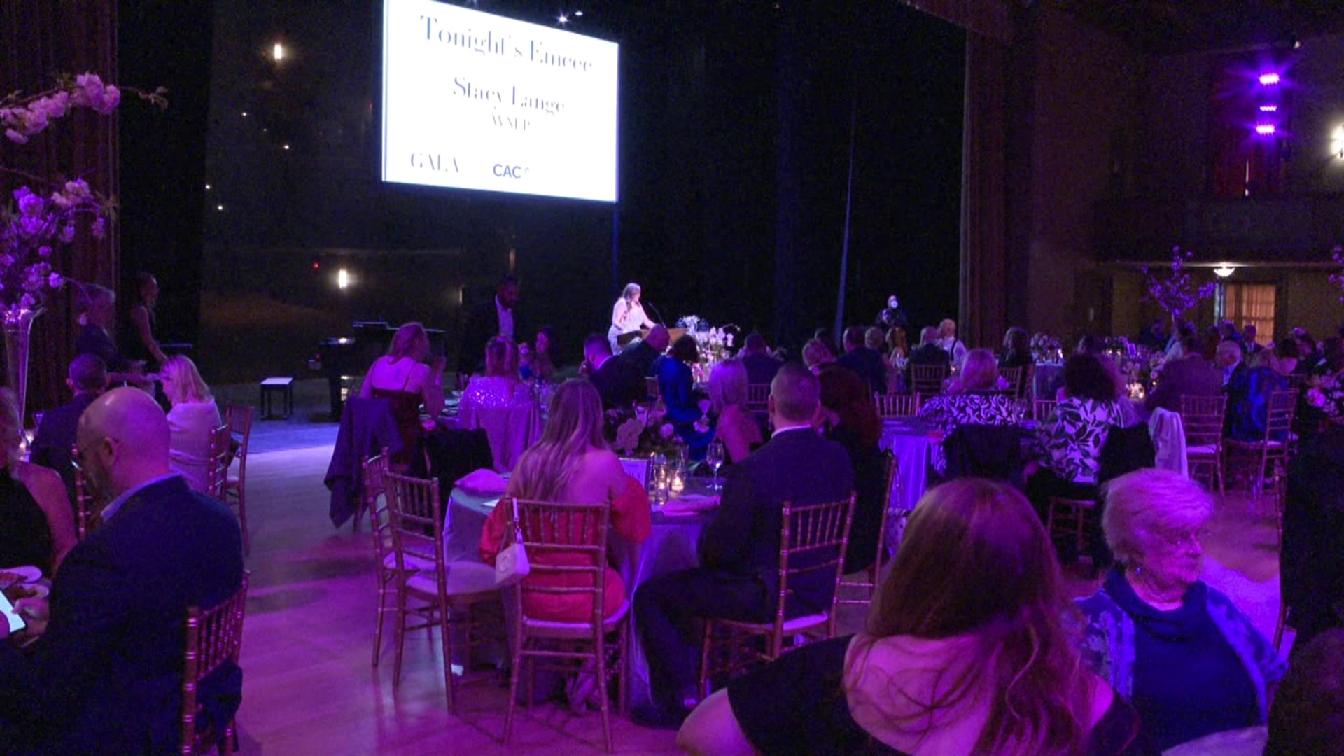 The Children's Advocacy Center of NEPA hosted its 25th anniversary "Silver Screen Gala" at the Scranton Cultural Center on Thursday.