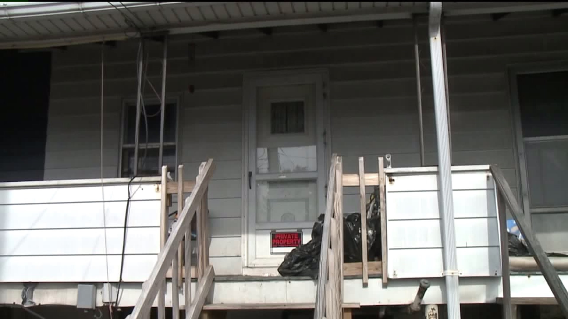 Deplorable Conditions for Cats and Dog Inside Home in Luzerne County