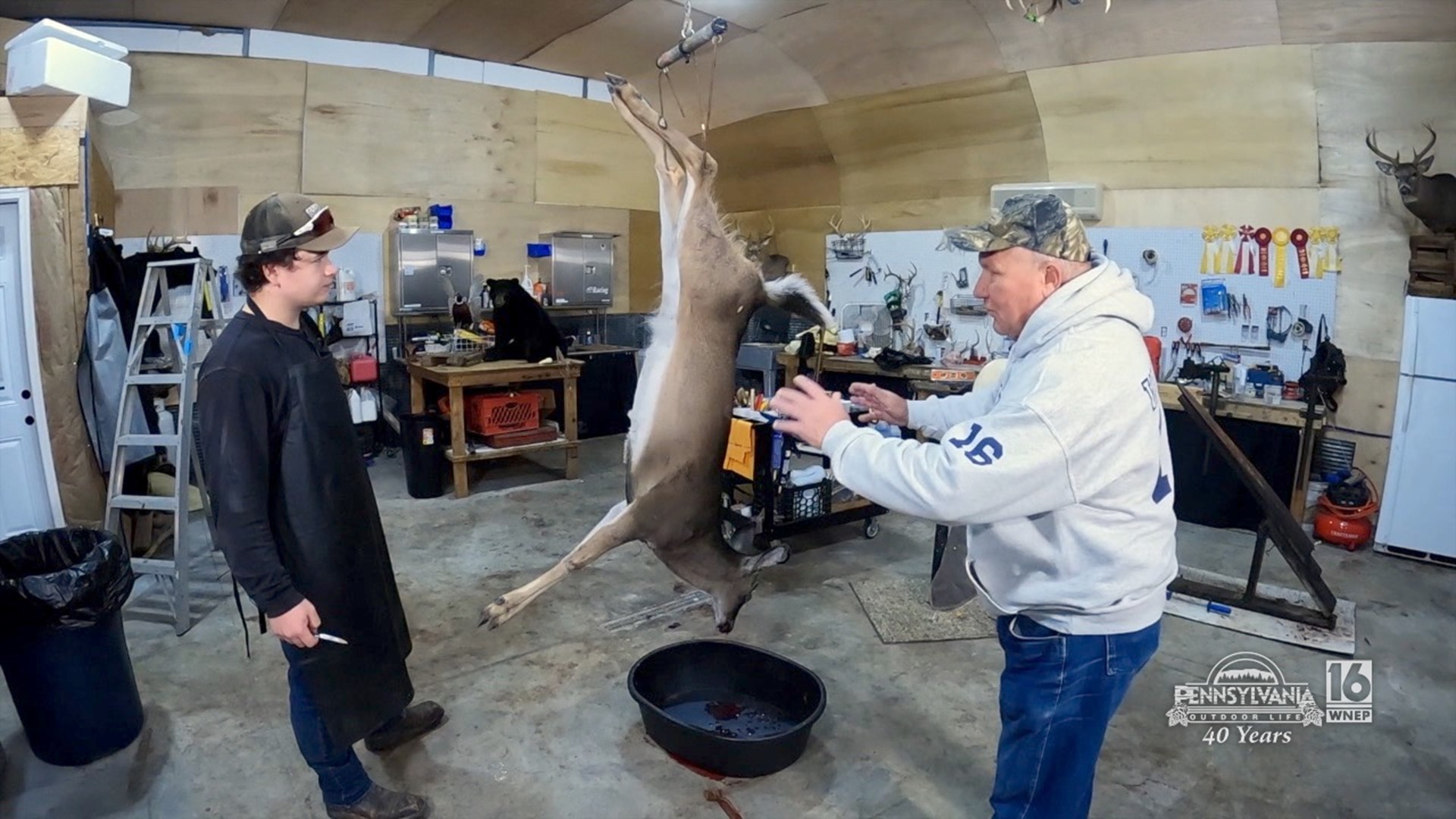 Tips on caping out your trophy for a quality taxidermy mount.