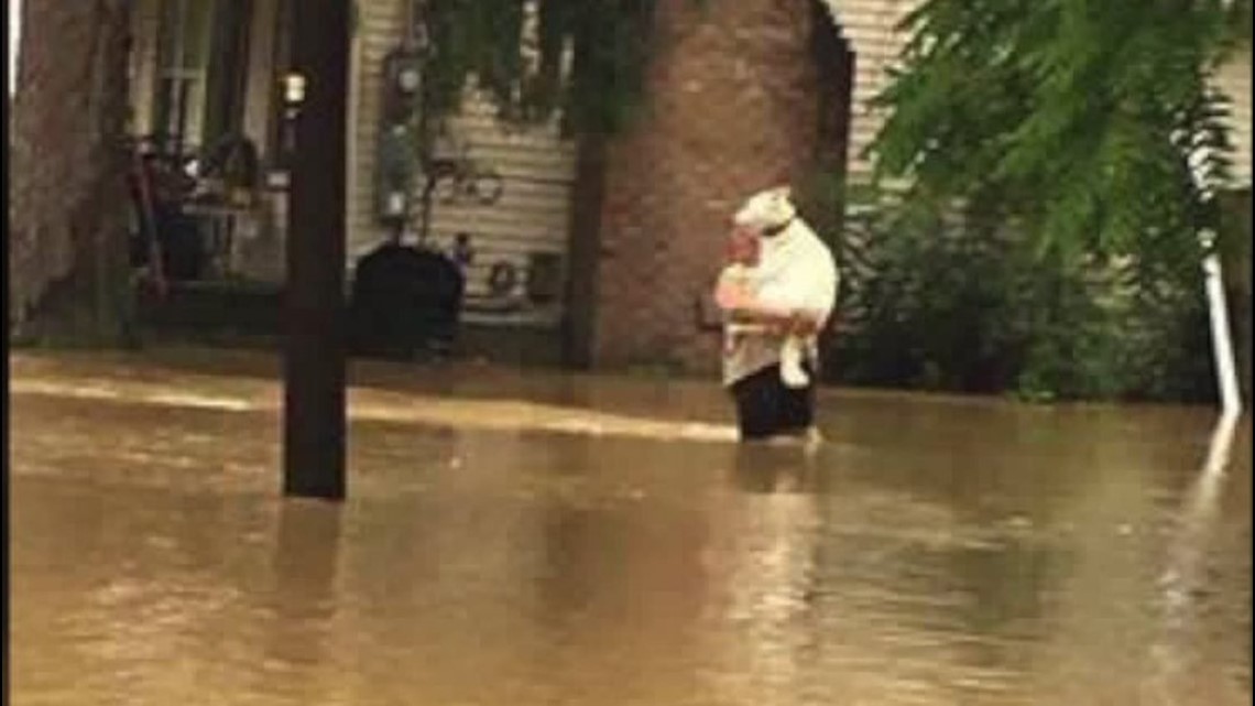 Dog Rescued from Flood Waters in Montour County