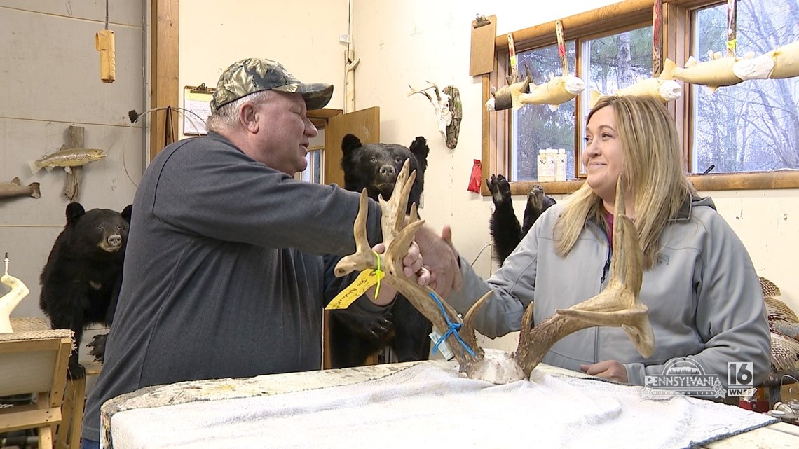 Misty Mountain Taxidermy Studios