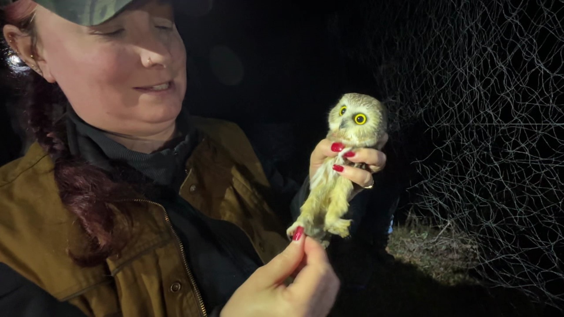 Newswatch 16's Chelsea Strub went into the dark woods with animal researchers to check out some cool creatures traveling through our area.