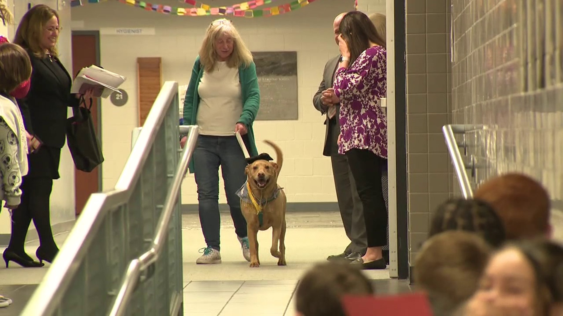 A school district in the Poconos is welcoming a new addition to its classrooms. Newswatch 16's Emily Kress introduces us to Toby, the therapy dog.
