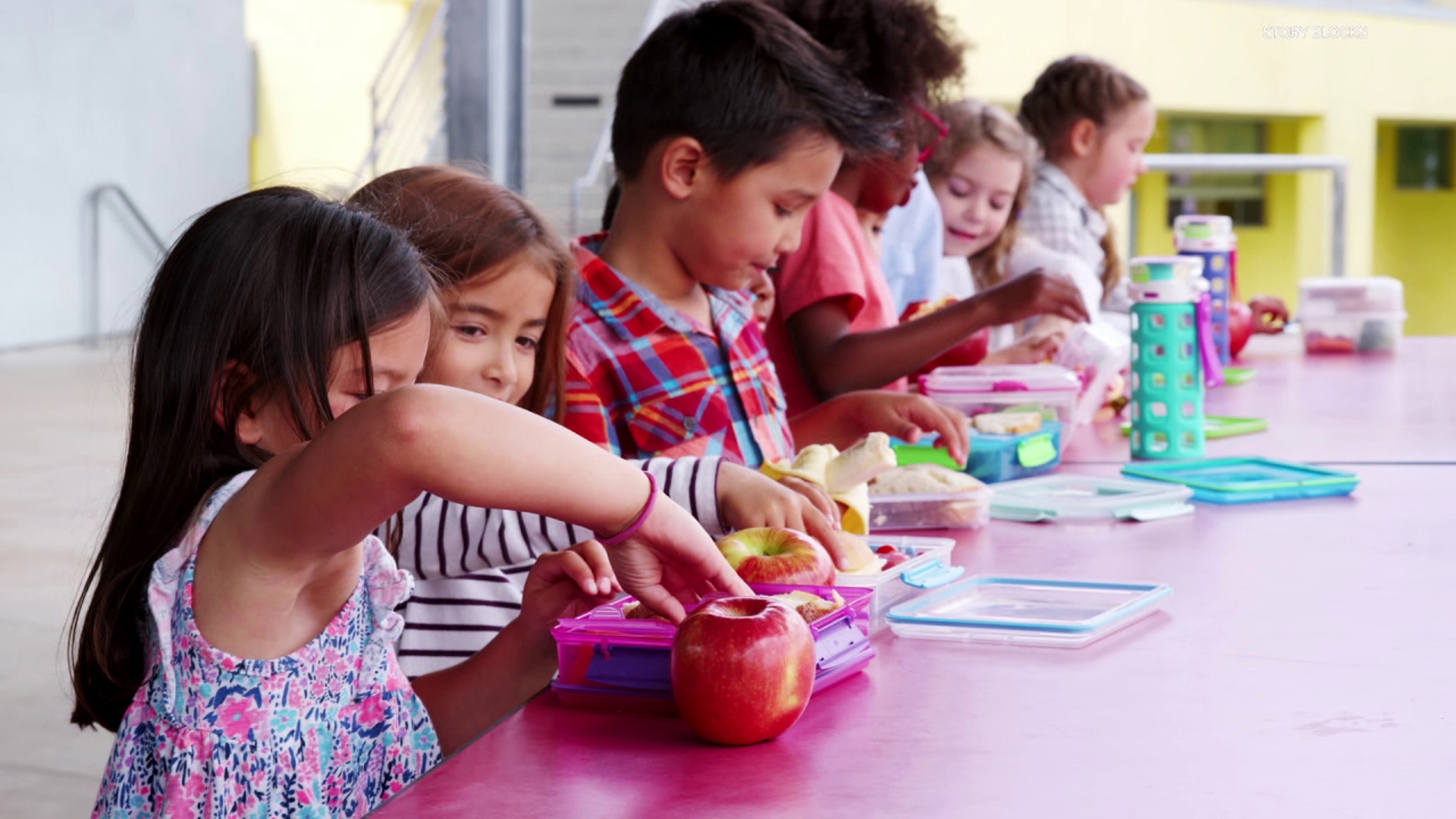 Nikki Krize meets with two registered dieticians to talk about making healthy back to school lunches as the school year begins.