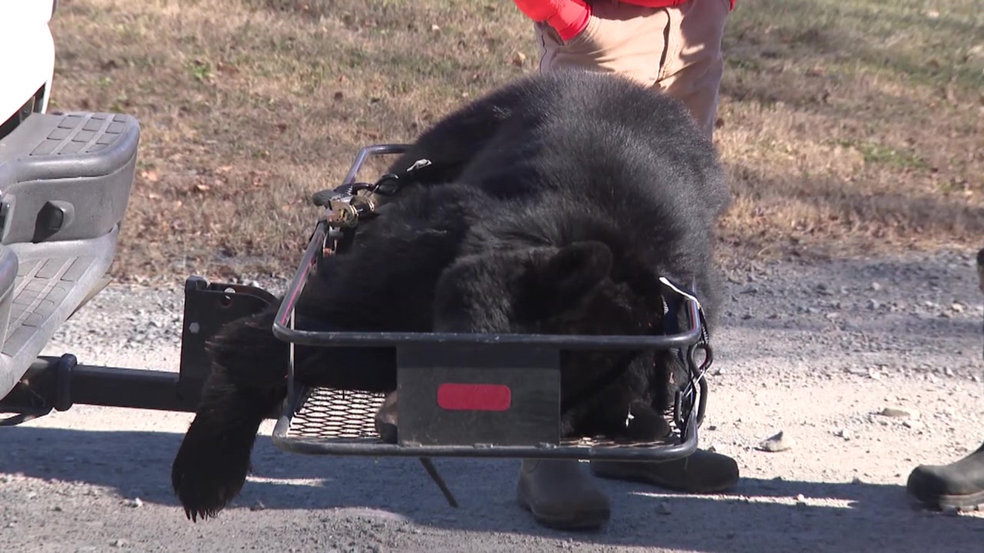 For some hunters, a closed check-in station caused problems when it was time to report their kill.