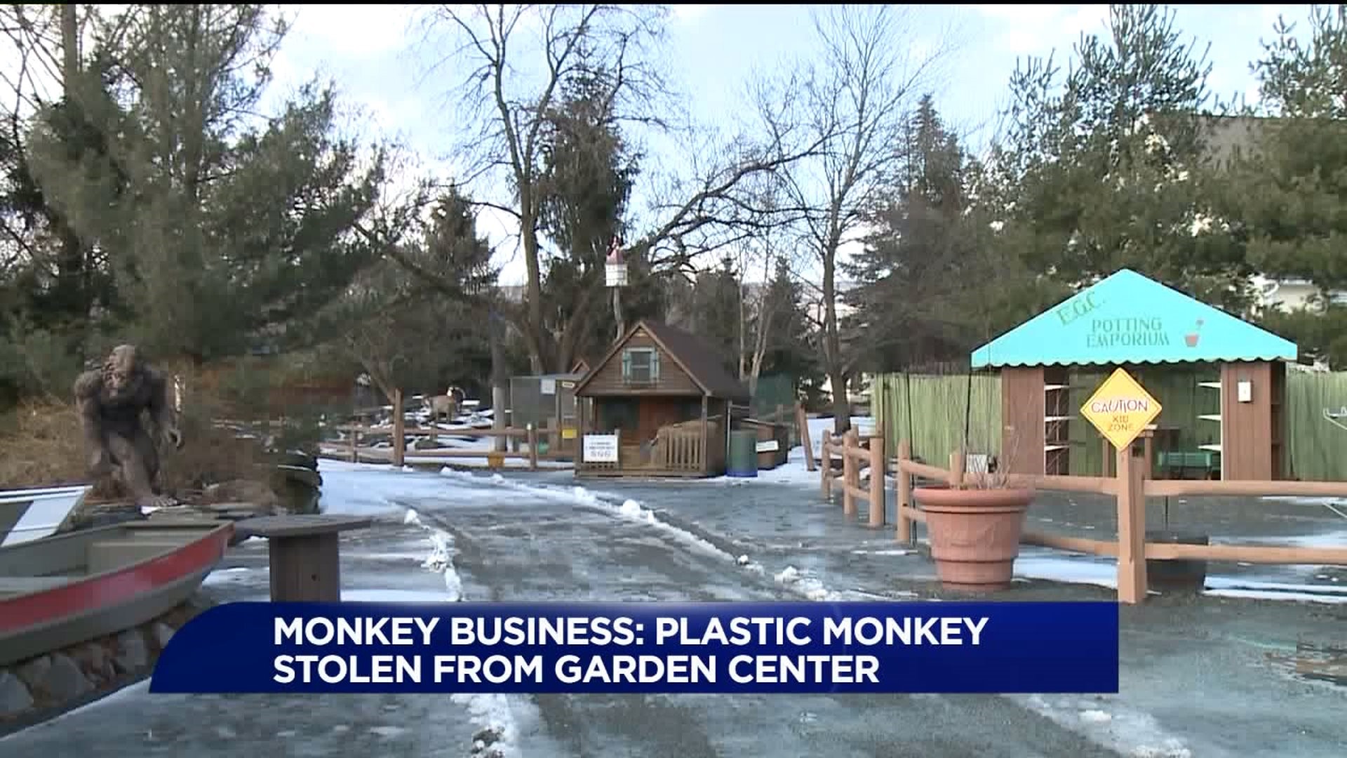 Monkey Business: Plastic Monkey Mascot Stolen from Garden Center