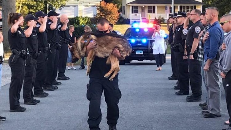 Heartbreaking Photo Shows Police Officer Saying Goodbye To K-9 Partner ...