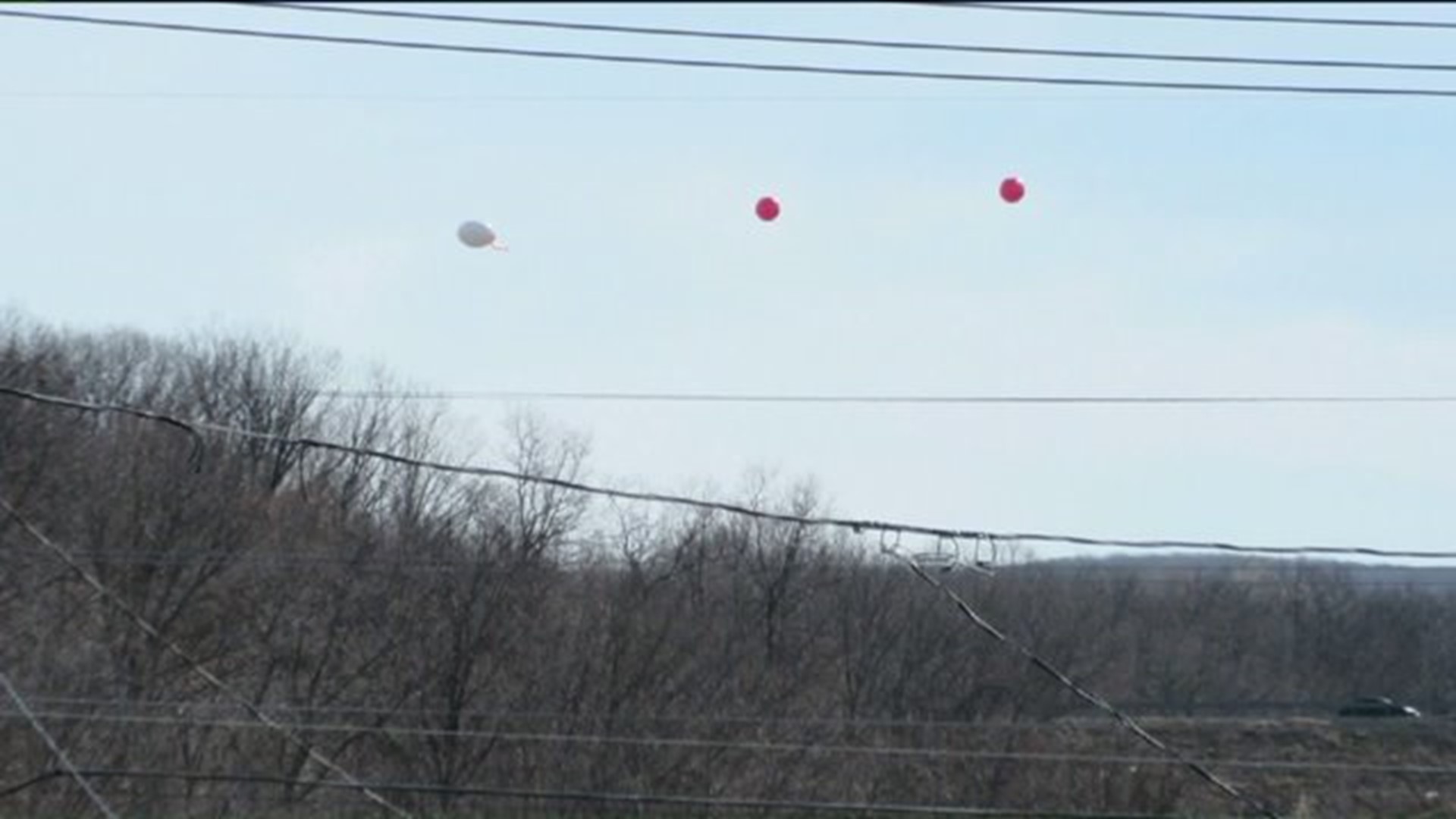 Balloons over Jessup Simulate Proposed Power Plant