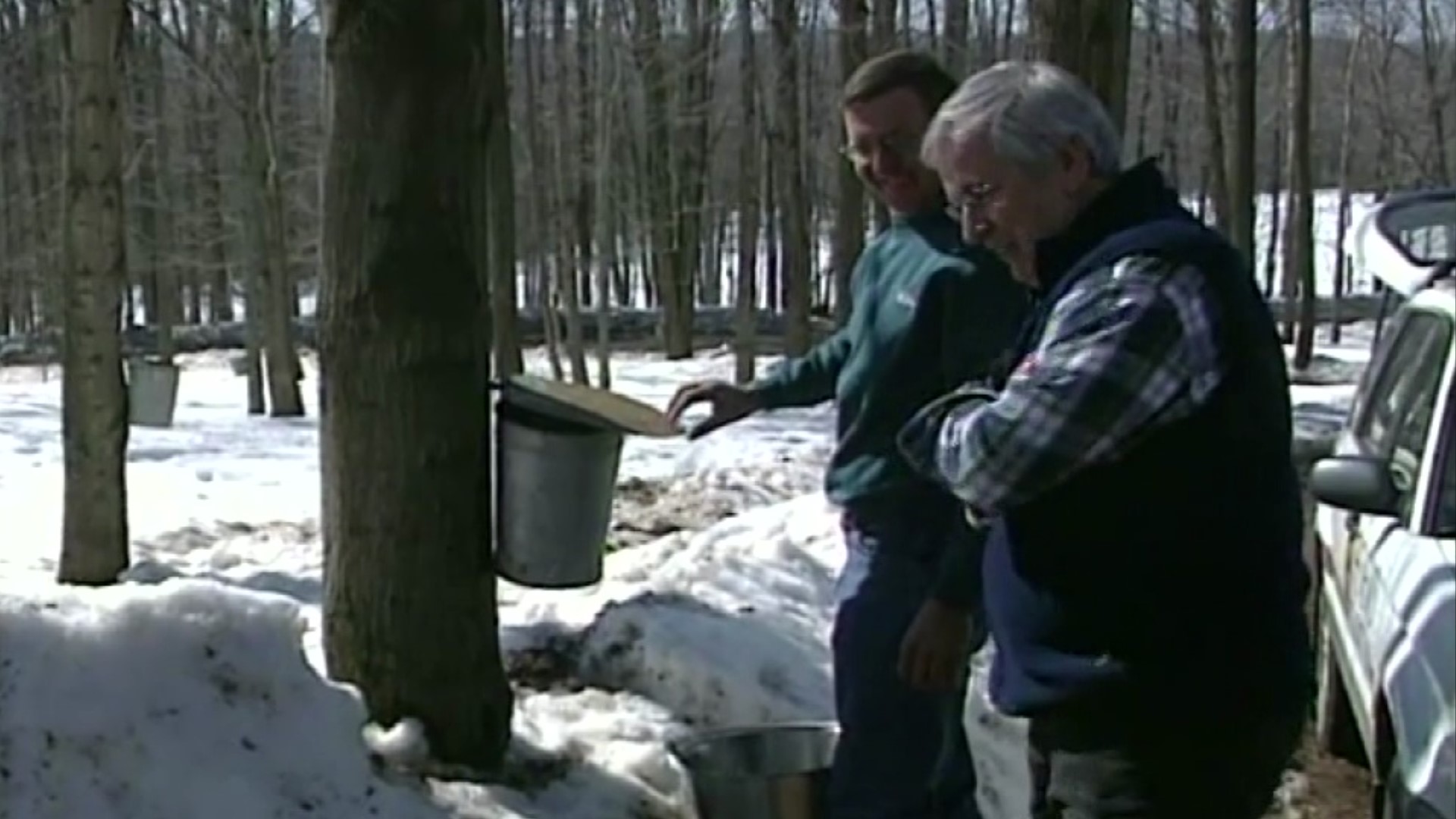 Turning maple sap into maple syrup is a custom that has occupied generation after generation.