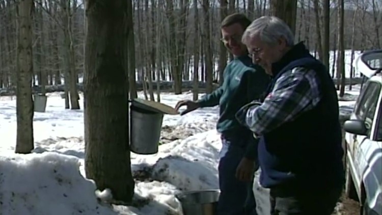 Sweet sign of spring | Back Down The Pennsylvania Road