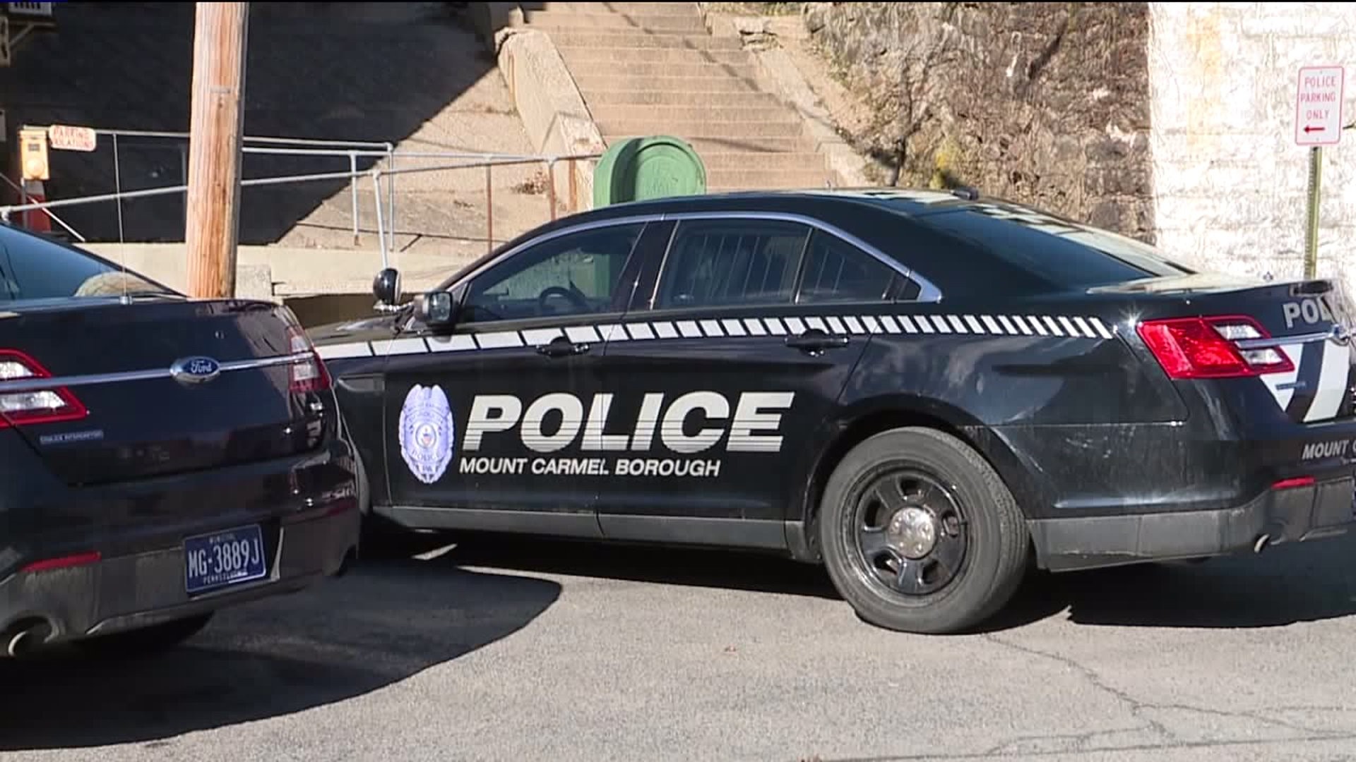 Arrests Expected after Dog Attacks in Mount Carmel