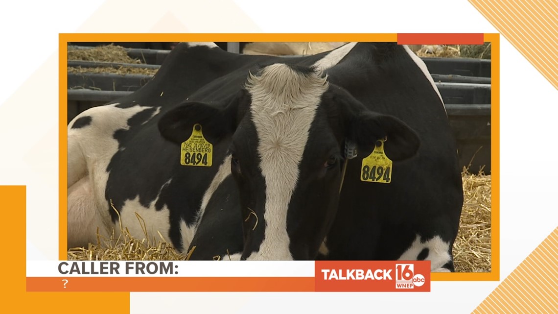 Talkback 16: More Farm Show calls