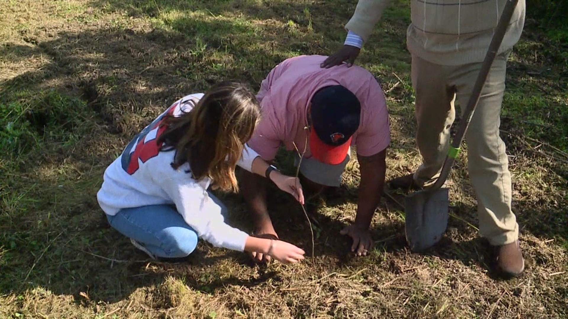 Student volunteers helped plant 100 trees on the campus of Bucknell to help lower the carbon footprint and to beautify campus.