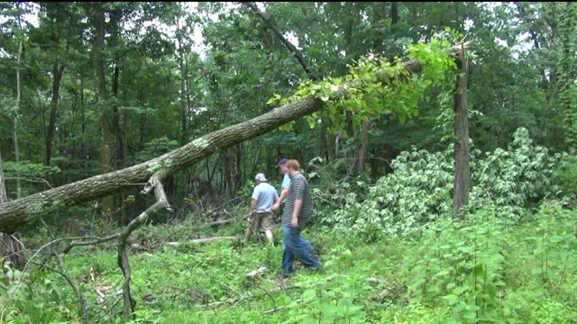 Tornado Touched Down in Luzerne County