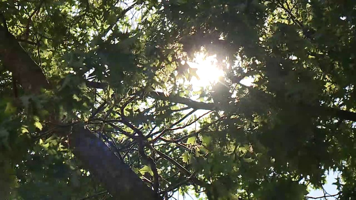 Spring ends with a scorcher - Vimarsana News