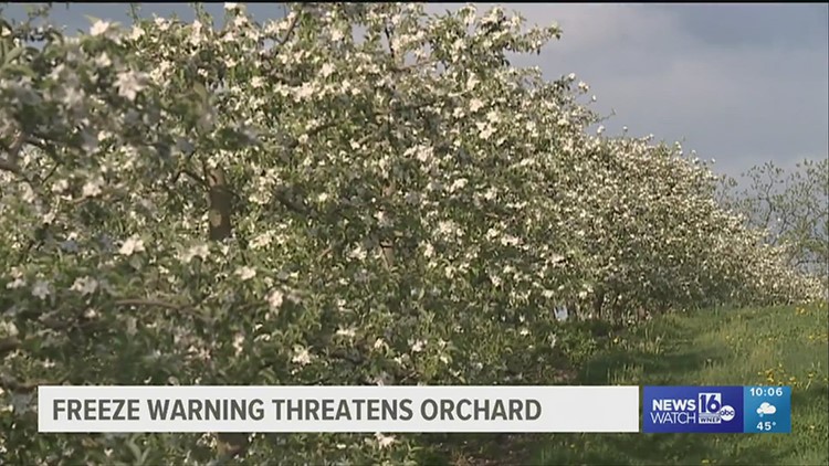 Freeze warning threatens orchard in Snyder County