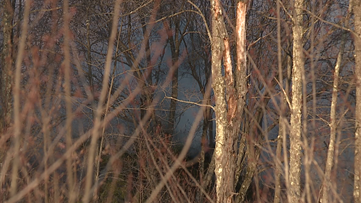 Fire burns 157 acres of game lands in Sullivan County