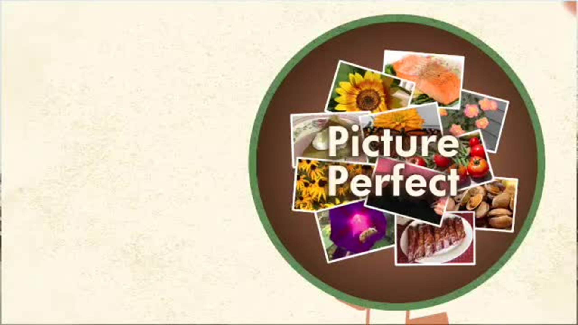 Picture Perfect 2-16-19