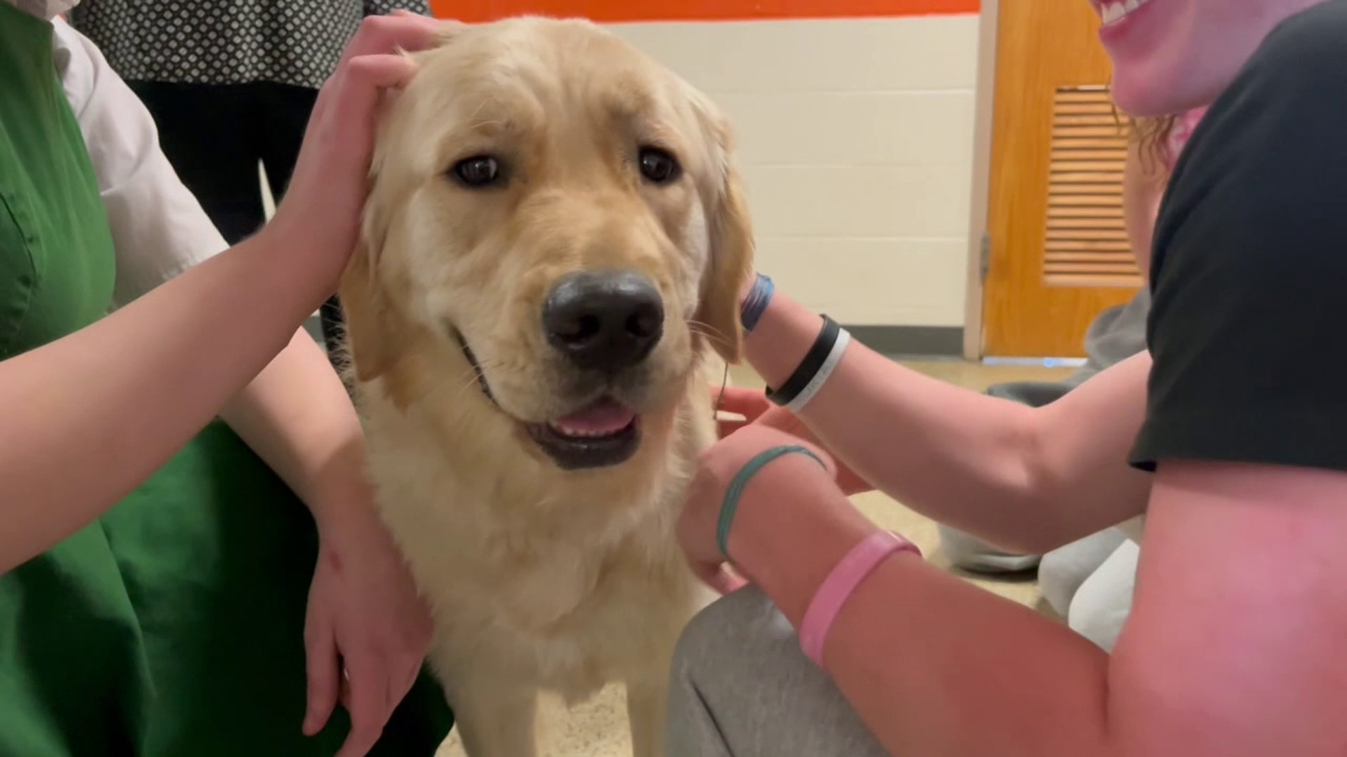 Newswatch 16's Mackenzie Aucker introduces us to Kempton, who provides emotional support to students and staff.