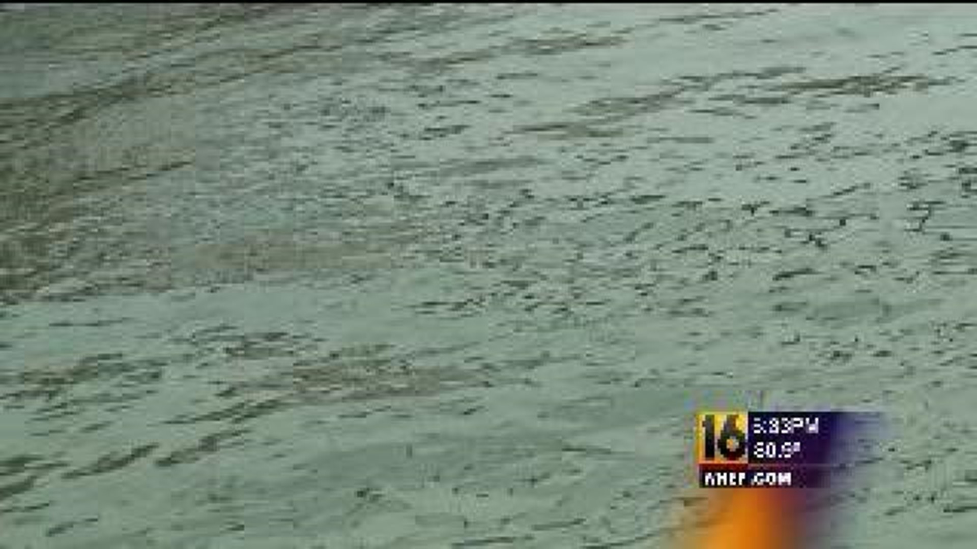 Woman Rescues Child From Nearly Drowning