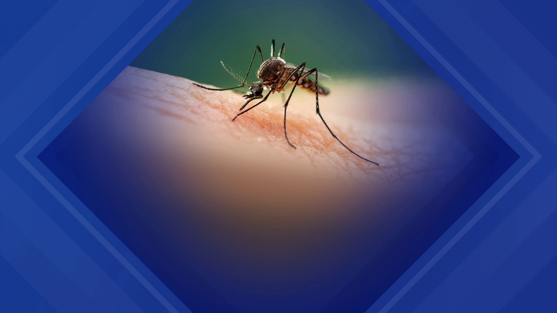 The virus was detected in several counties across northeastern and central Pennsylvania. Most recently, it was found in Lackawanna County.