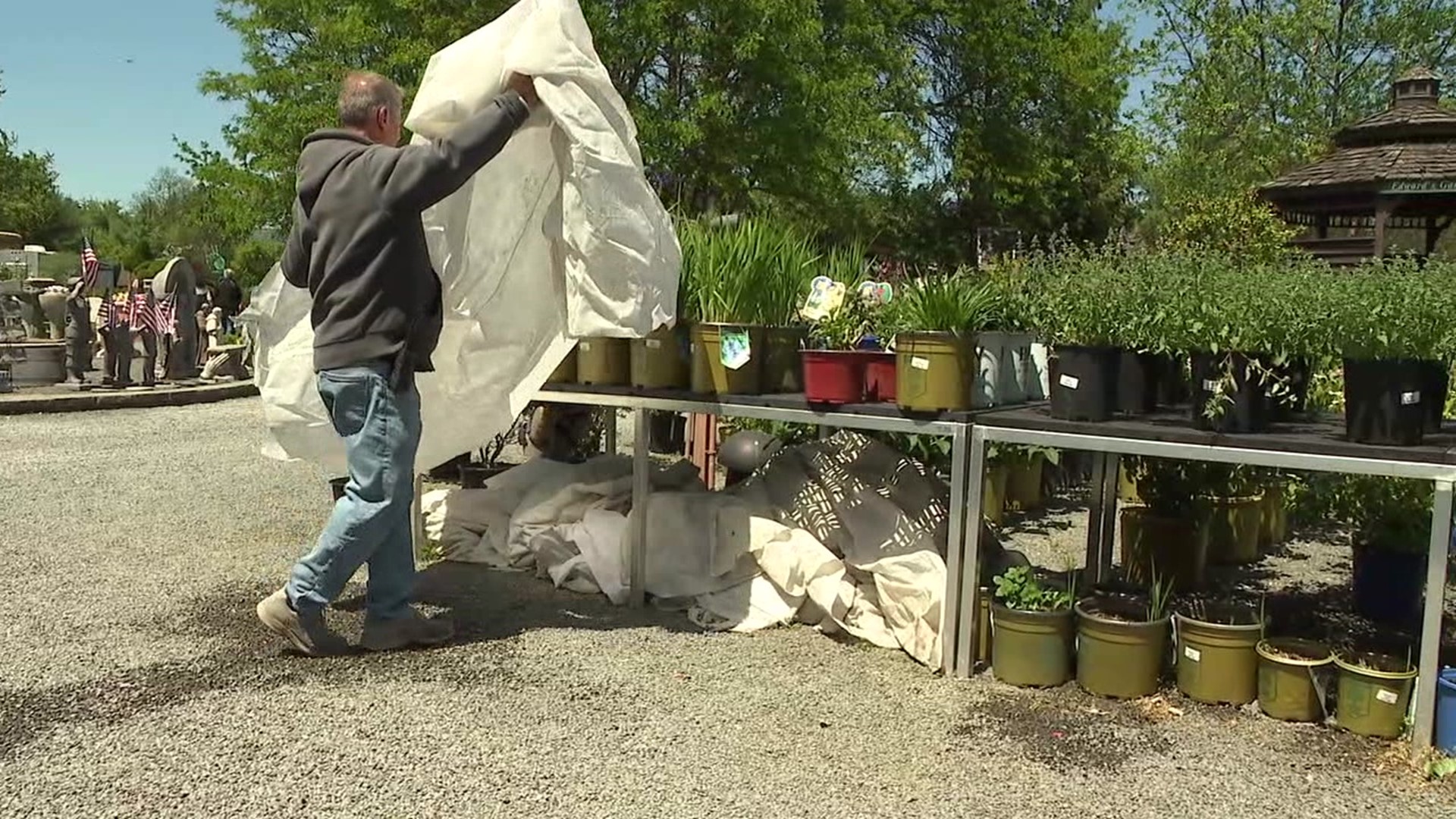 The chilly forecast is causing Edward's Garden Center to bring most of its inventory undercover.