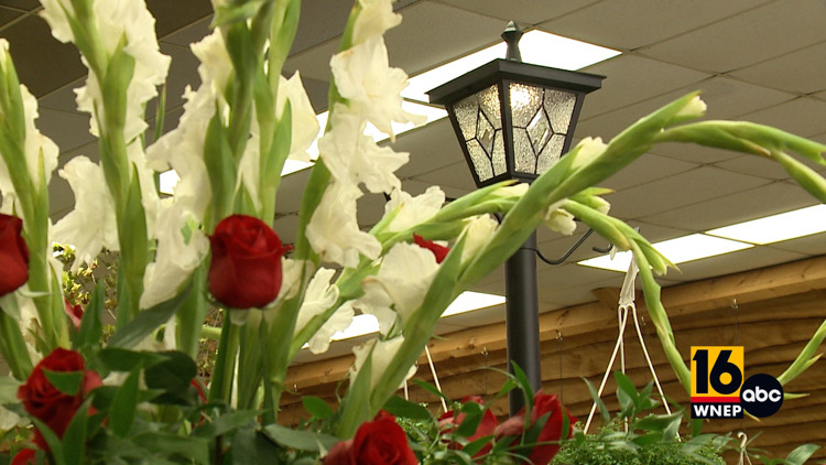 Plants and flowers galore at the Bloomsburg Fair
