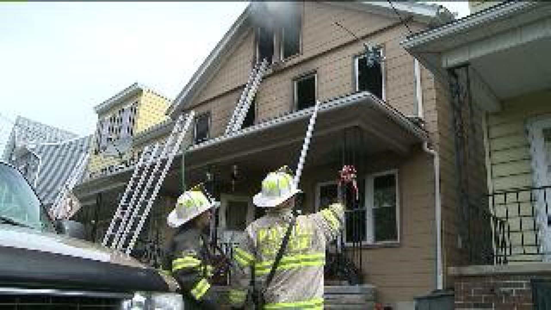 Pets Killed, Injured In St. Clair Fire