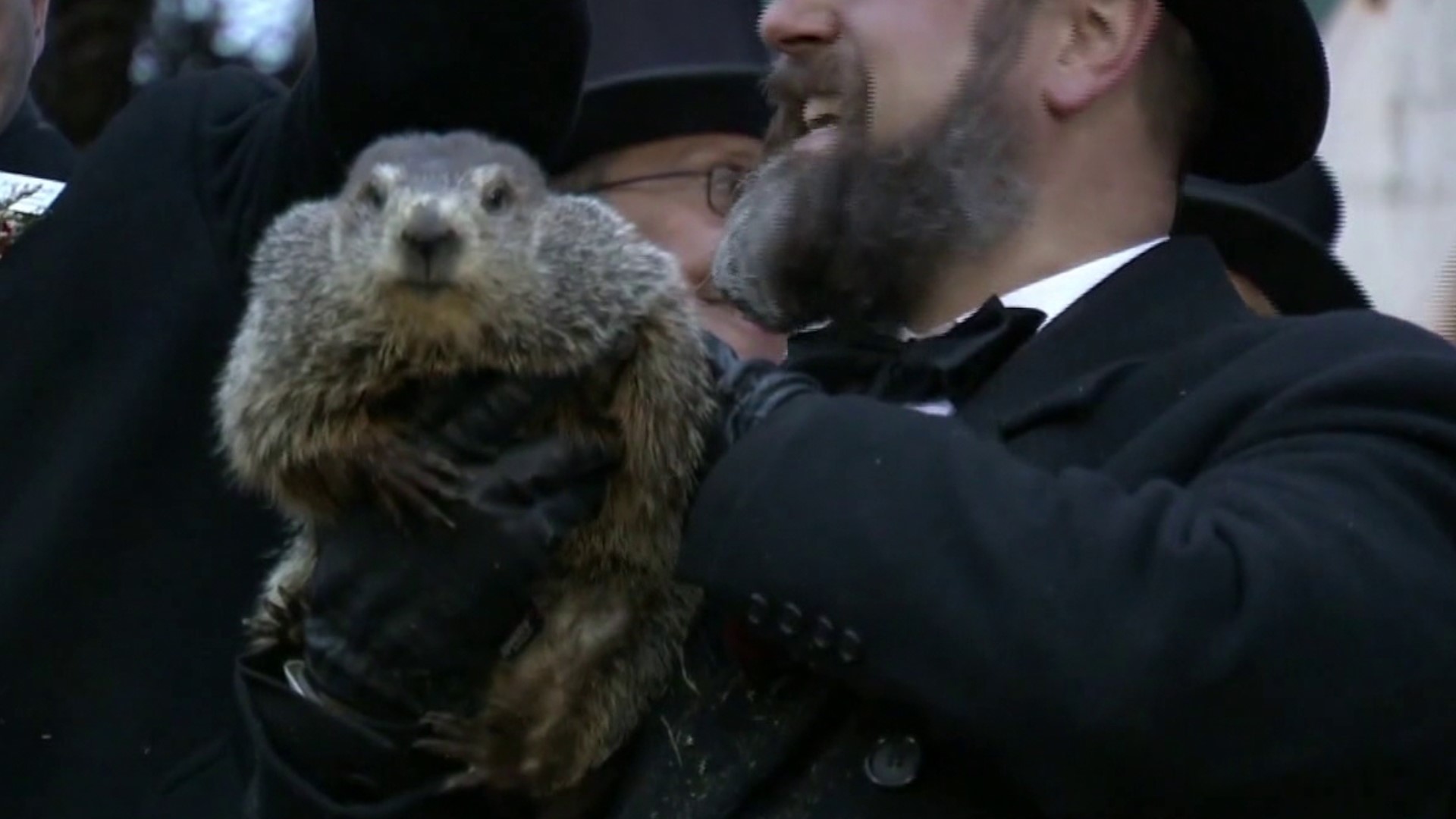 The Punxsutawney Groundhog Club has announced the birth of two babies to Phil and his wife, Phyllis.