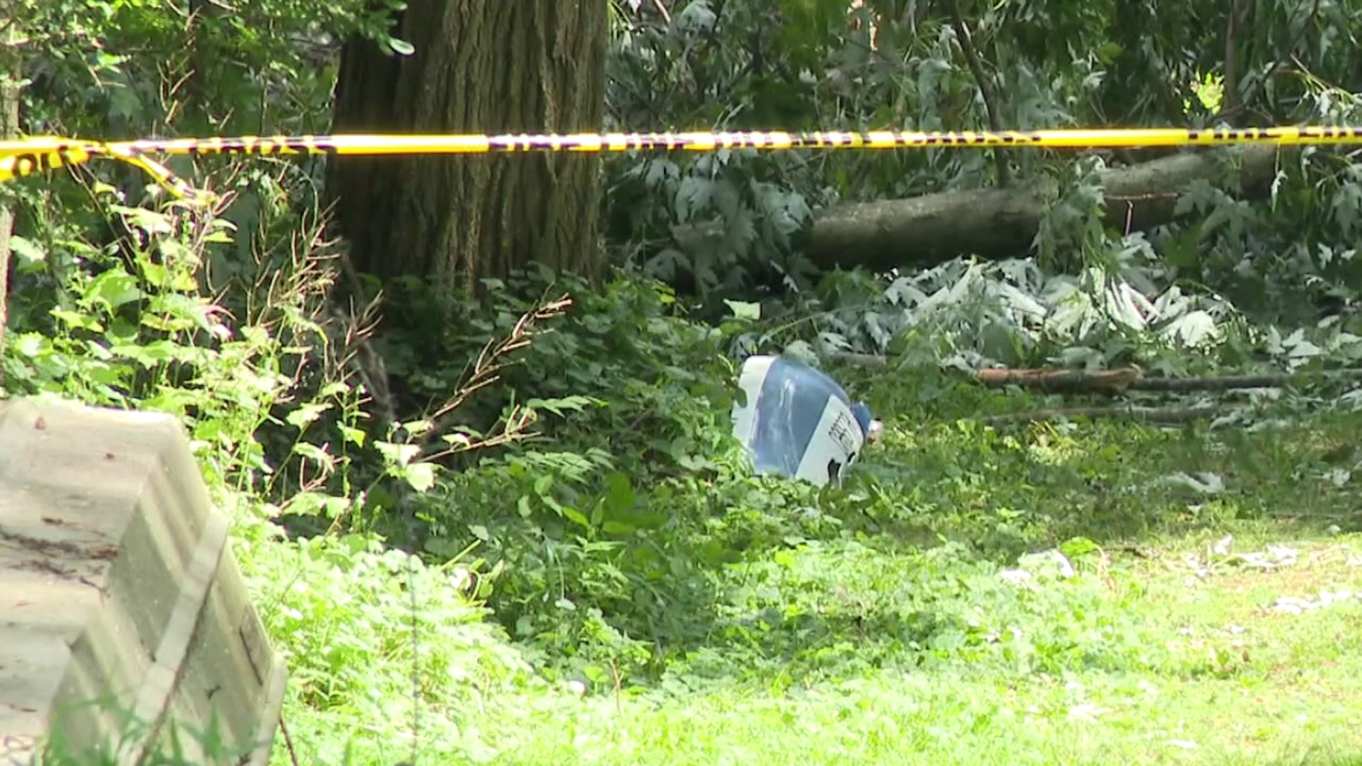 New details have emerged in a plane crash that killed a 17-year-old pilot in Clinton County.