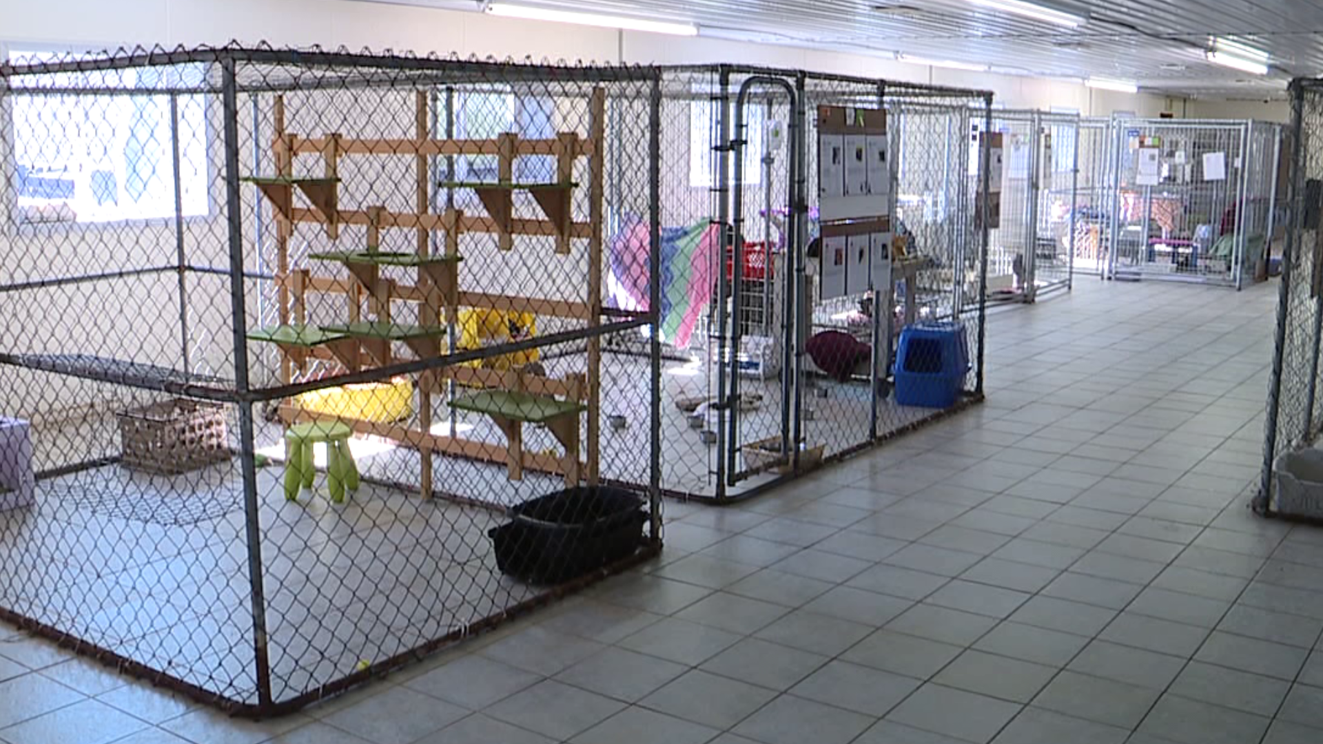 New facility opens at Animal Care Sanctuary 